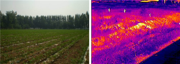 熱成像雙光譜云臺攝像環(huán)境保護應用 圖片關鍵詞